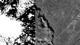 Collage of physical data and abstract visual